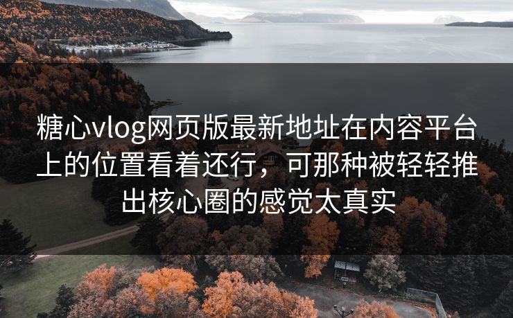 糖心vlog网页版最新地址在内容平台上的位置看着还行，可那种被轻轻推出核心圈的感觉太真实